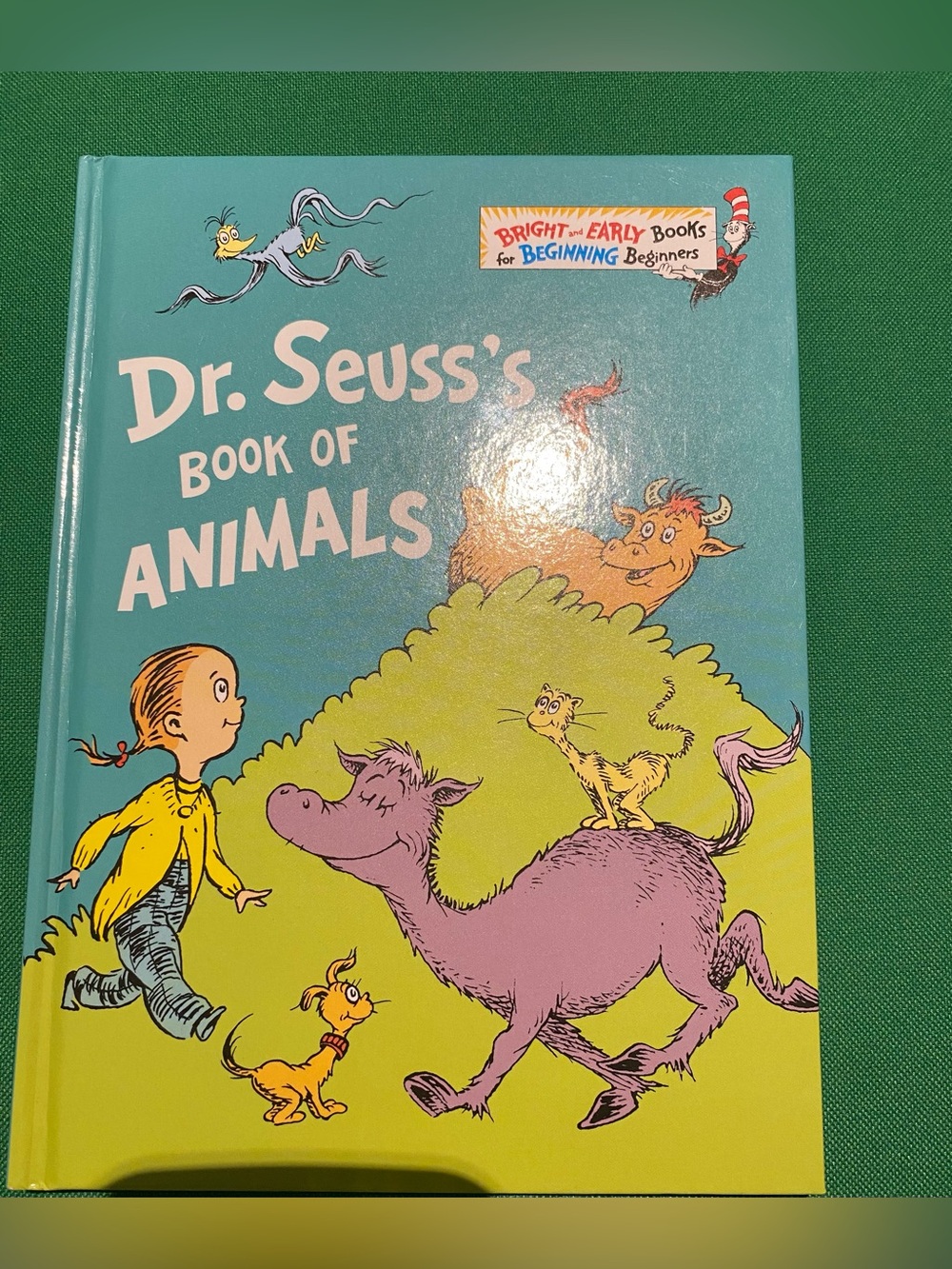 Dr. Seuss Teal & Yellow Children's Picture Book Pair - Picture 9 of 15